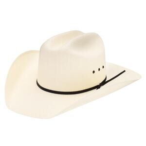 RESISTOL Denison 7X Bangora Straw Material Cowboy Hat Color Natural Size 7 1/2